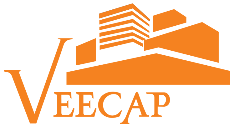 veecapinternational.com